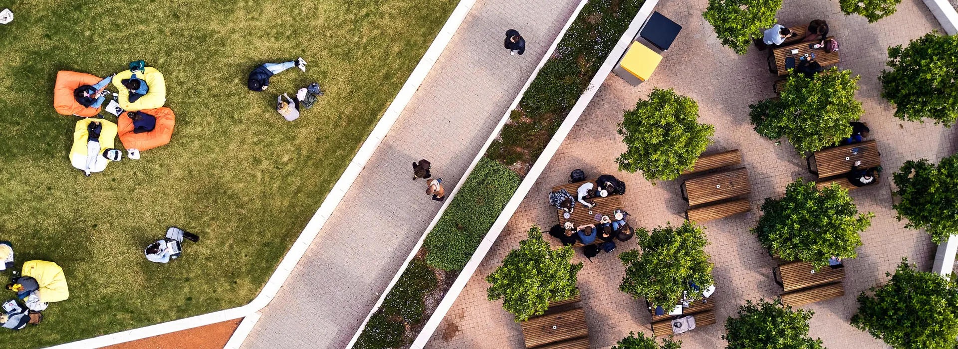 Central Marketing area view from up high drone