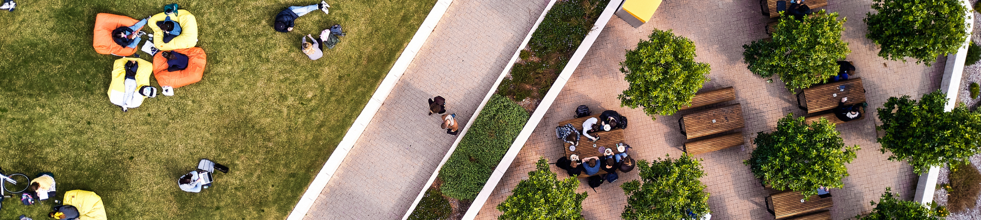 Central Marketing area view from up high drone